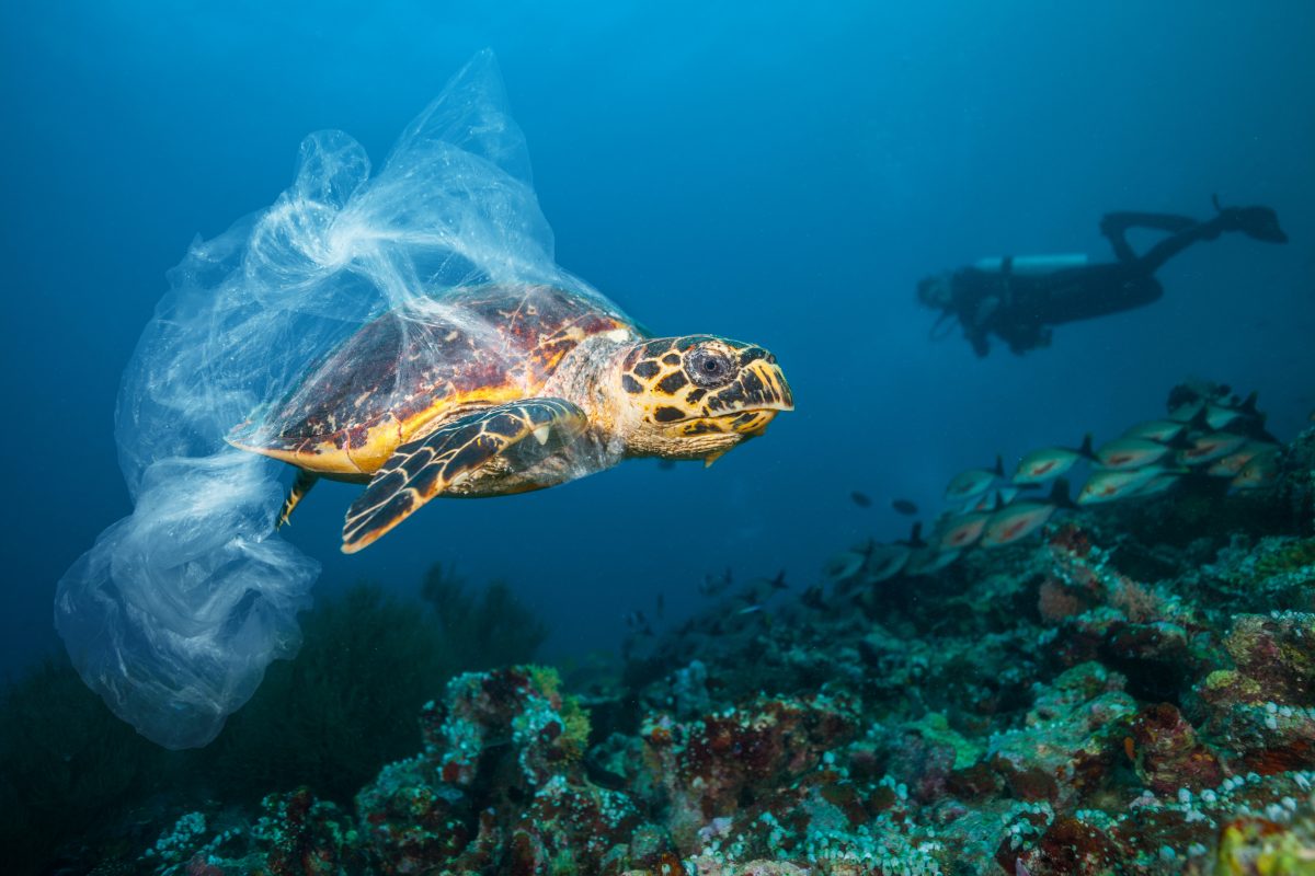 Dépollution de l’océan par des approches Open Source